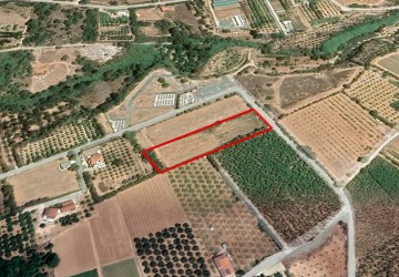 Agricultural Land in Kissonerga, Paphos