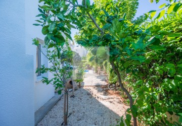 Detached Villa For Sale  in  Polis