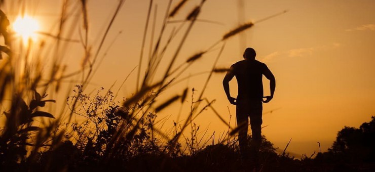 Why we want what we can't always have!