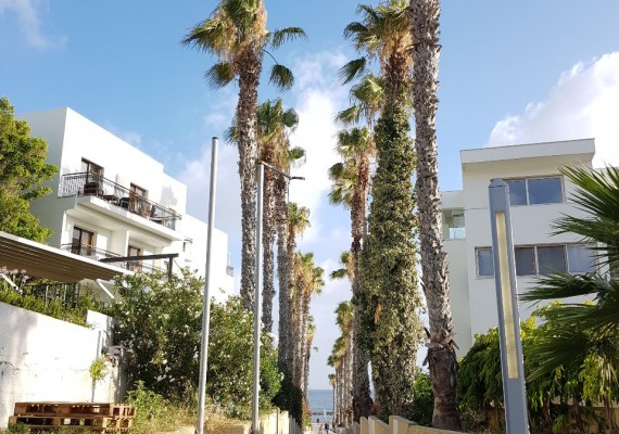 Kato Paphos