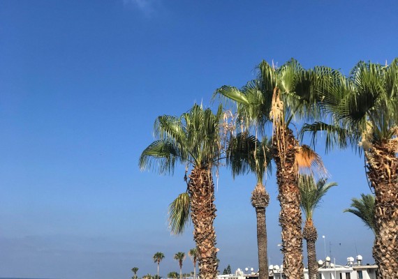 Kato Paphos