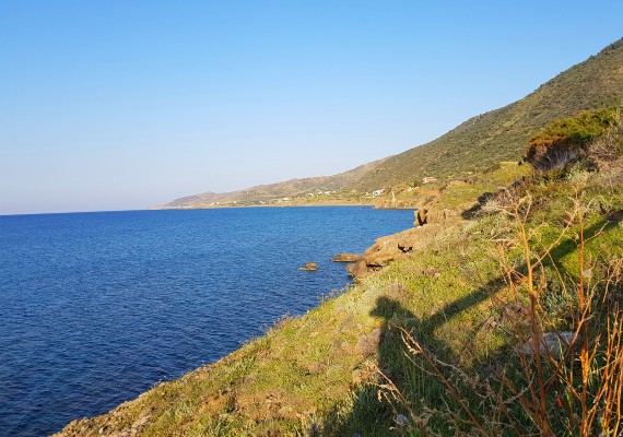 Pomos