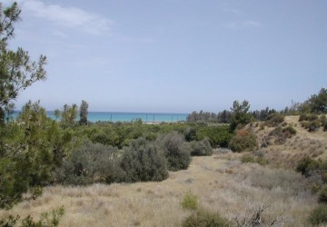 Residential Land  in Gialia, Paphos