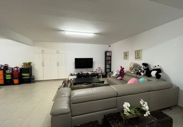 IMG-10237-10237-12