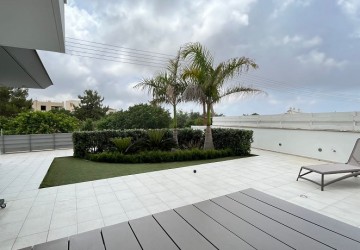 IMG-10237-10237-20