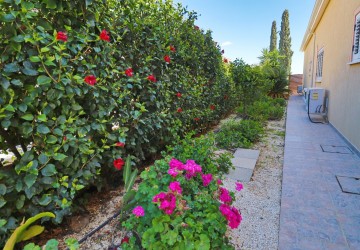 Bungalow For Sale  in  Peyia
