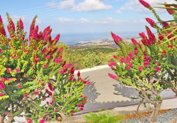 Bungalow For Sale  in  Tala - Kamares