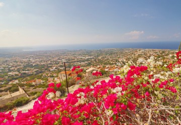 Detached Villa For Sale  in  Peyia
