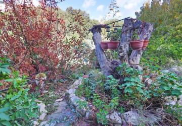 Detached Villa For Sale  in  Peyia