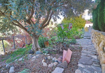 Detached Villa For Sale  in  Peyia