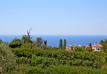 Bungalow For Sale  in  Tala