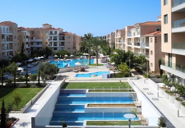 IMG-2393-2393-10