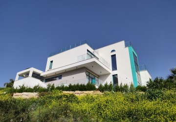IMG-10233-10233-8
