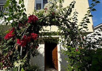 IMG-2490-2490-19