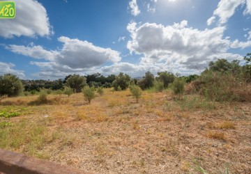 Detached Villa For Sale  in  Prodromi