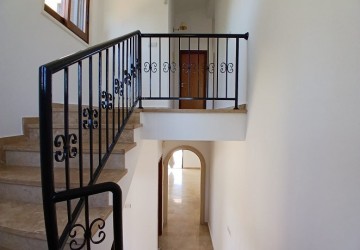IMG-10270-10270-10