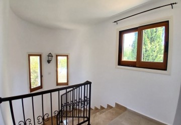 IMG-10270-10270-11