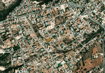 IMG-10288-10288-2