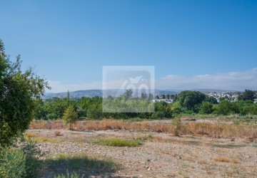 Apartment For Sale  in  Polis