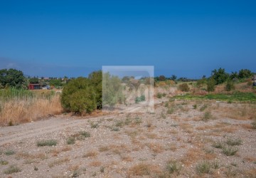 Apartment For Sale  in  Polis