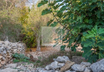 Semi Detached Villa For Sale  in  Arodes