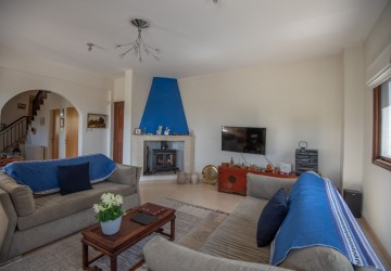 Detached Villa For Sale  in  Arodes