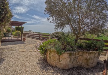 Detached Villa For Sale  in  Arodes